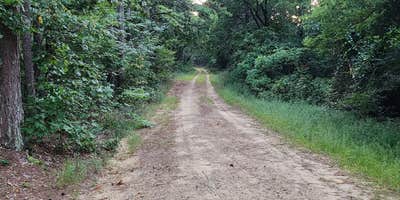 Roads