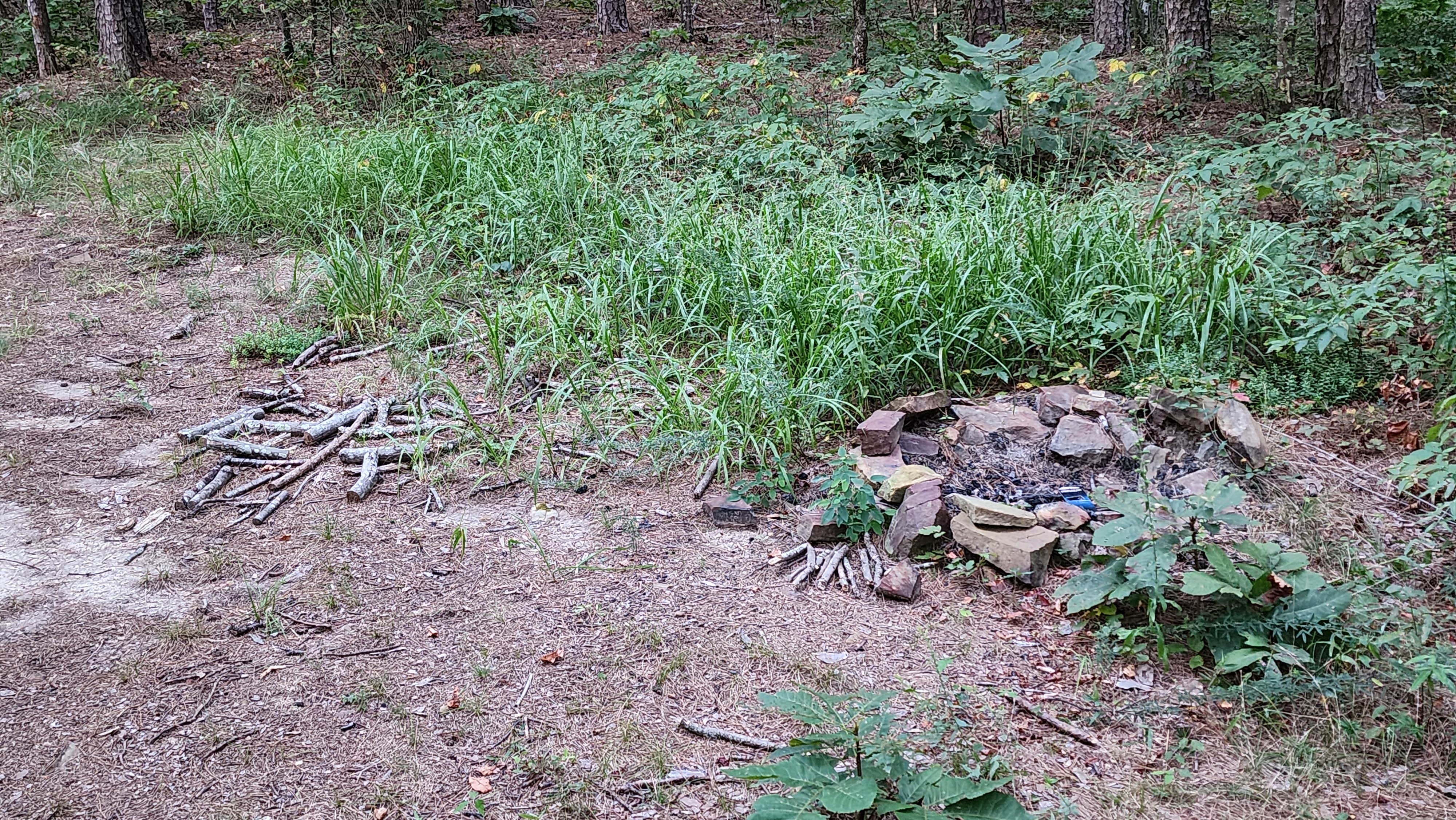 Camper-submitted photo at County Road D1590 Dispersed near Broken Bow, OK