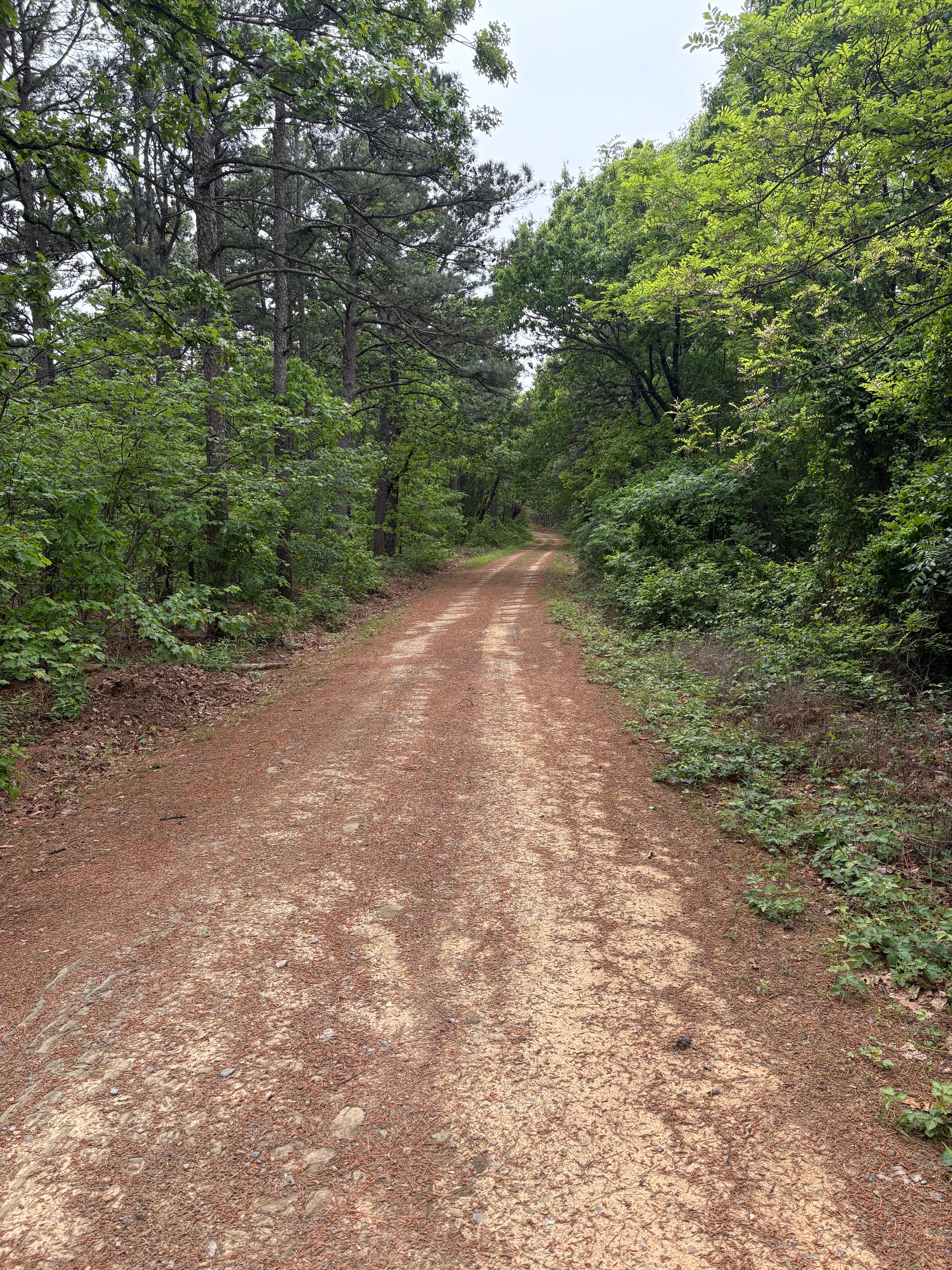 Camper-submitted photo at County Road D1590 Dispersed near Poteau, OK