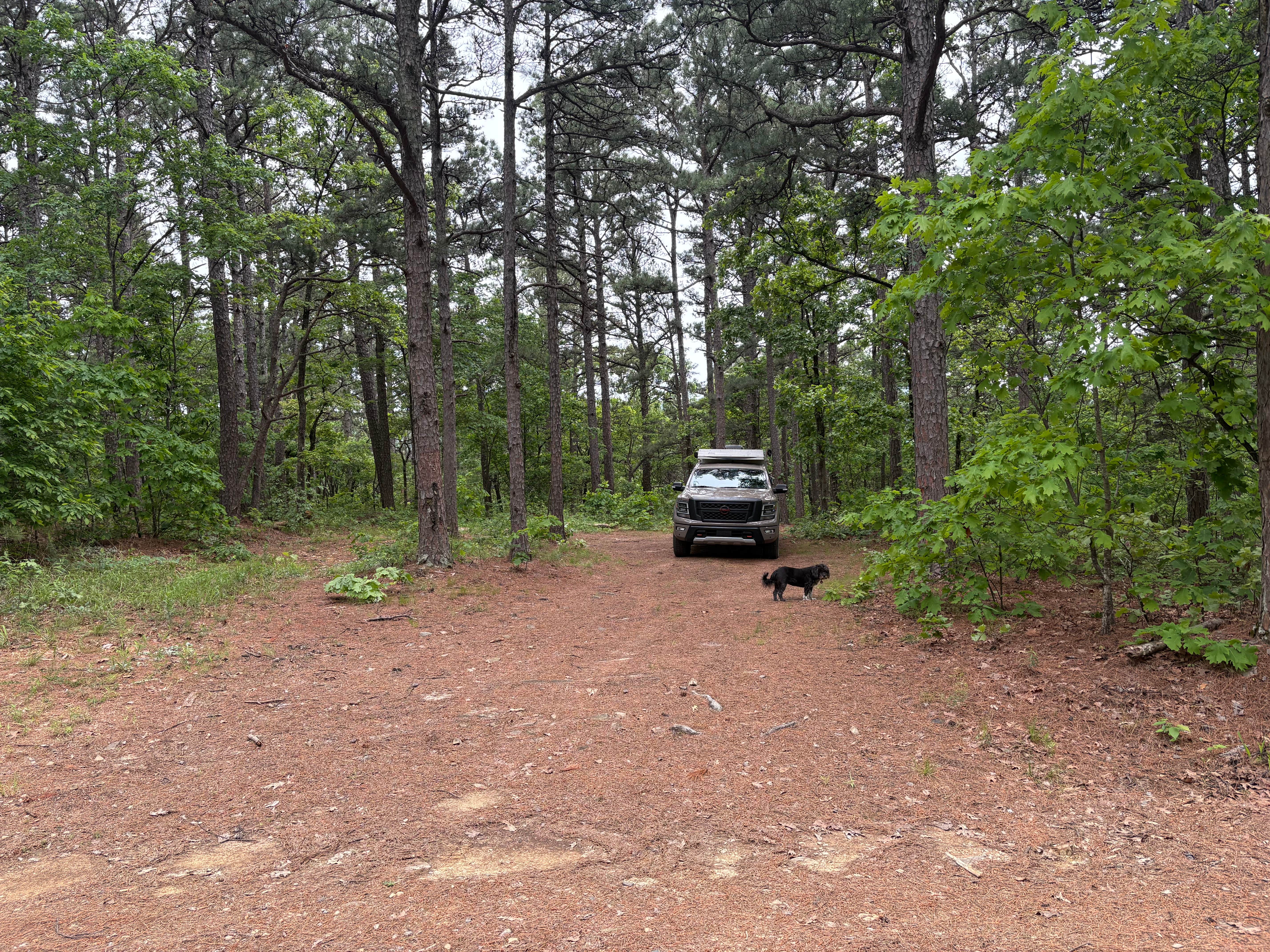 Camper-submitted photo at County Road D1590 Dispersed near Poteau, OK
