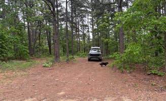 jim's photo of camping with pets at County Road D1590 Dispersed near Poteau, OK