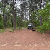 Review photo of County Road D1590 Dispersed by jim , May 1, 2026