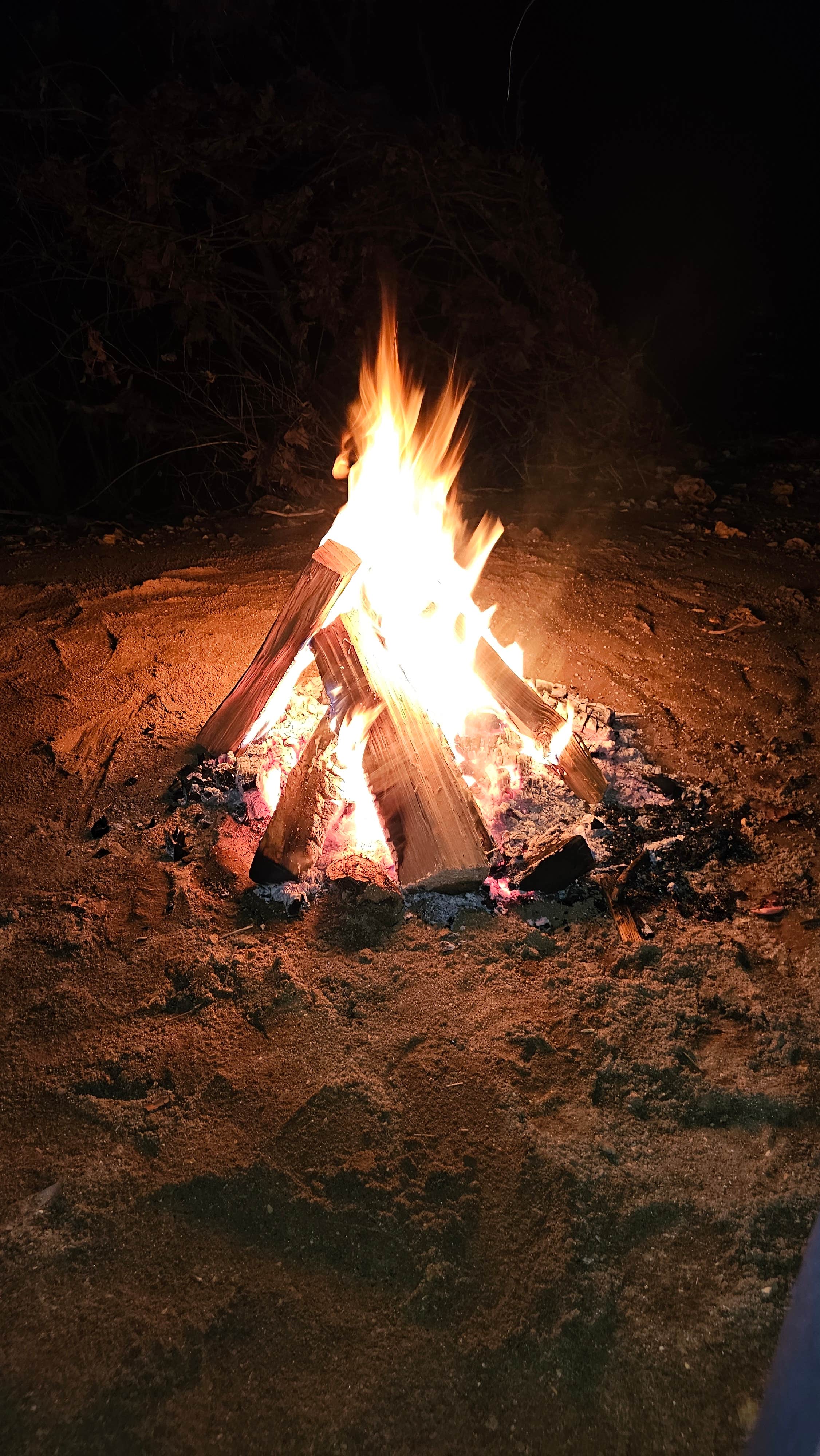 Camper-submitted photo at Courtois Creek Dispersed near Bunker, MO