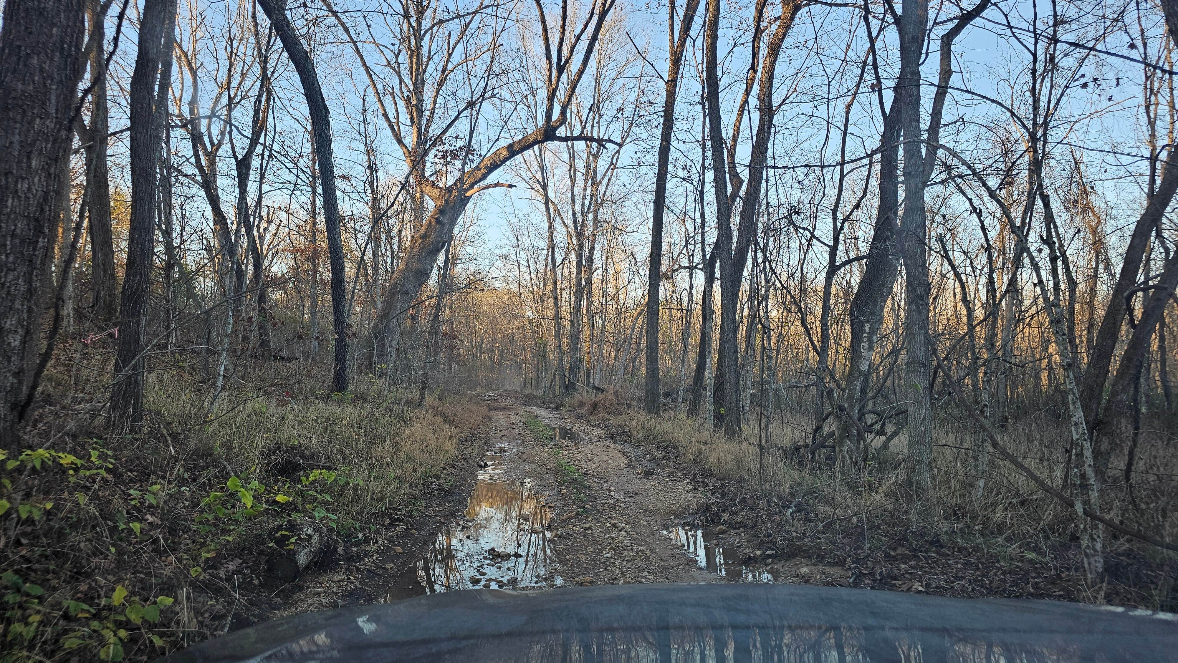 Camper-submitted photo at Courtois Creek Dispersed near Bunker, MO