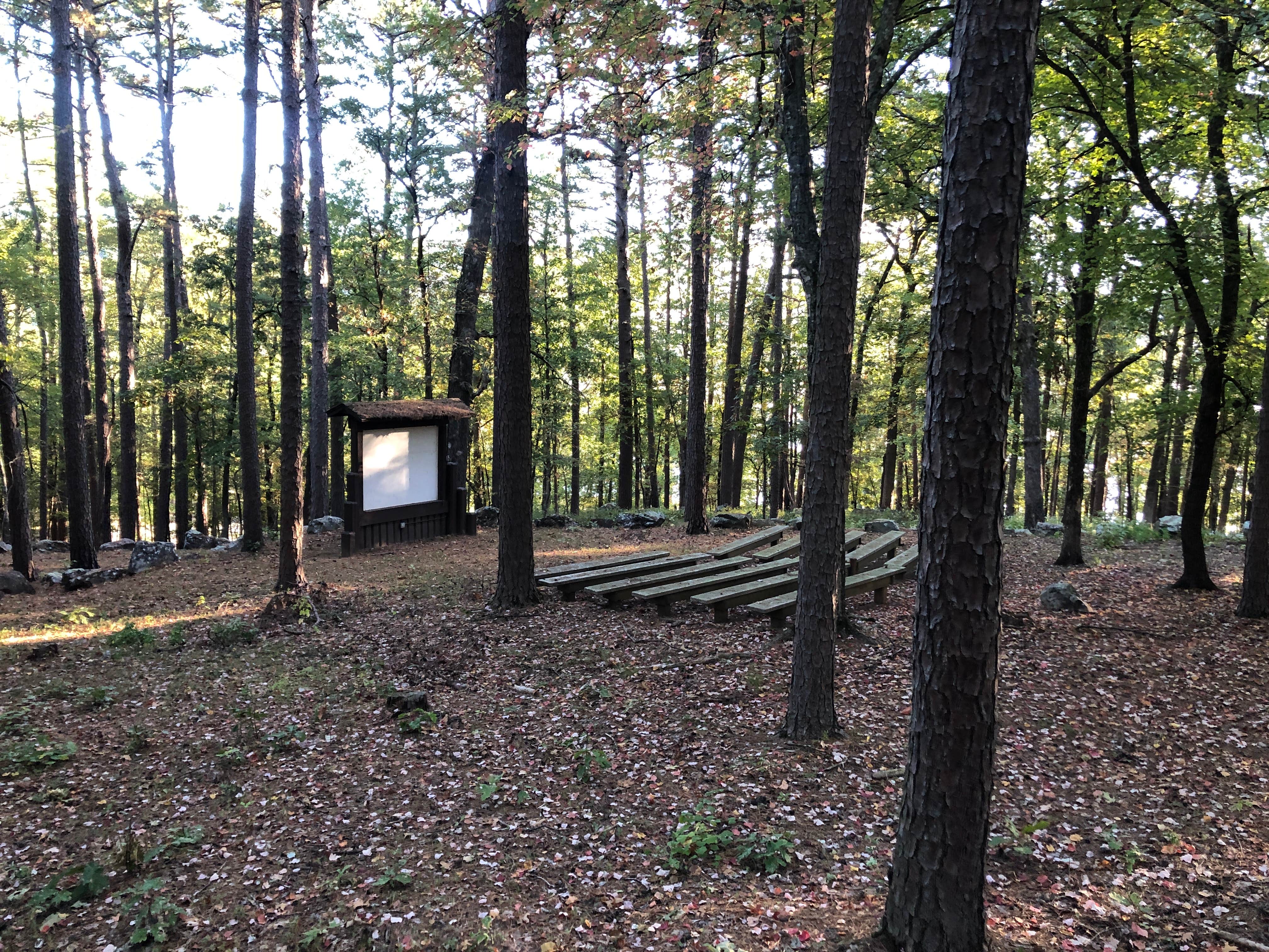 James N.'s photo of a cabin at Cove Lake Complex near Ozark, AR