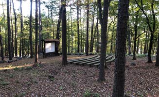 James N.'s photo of a cabin at Cove Lake Complex near Hector, AR