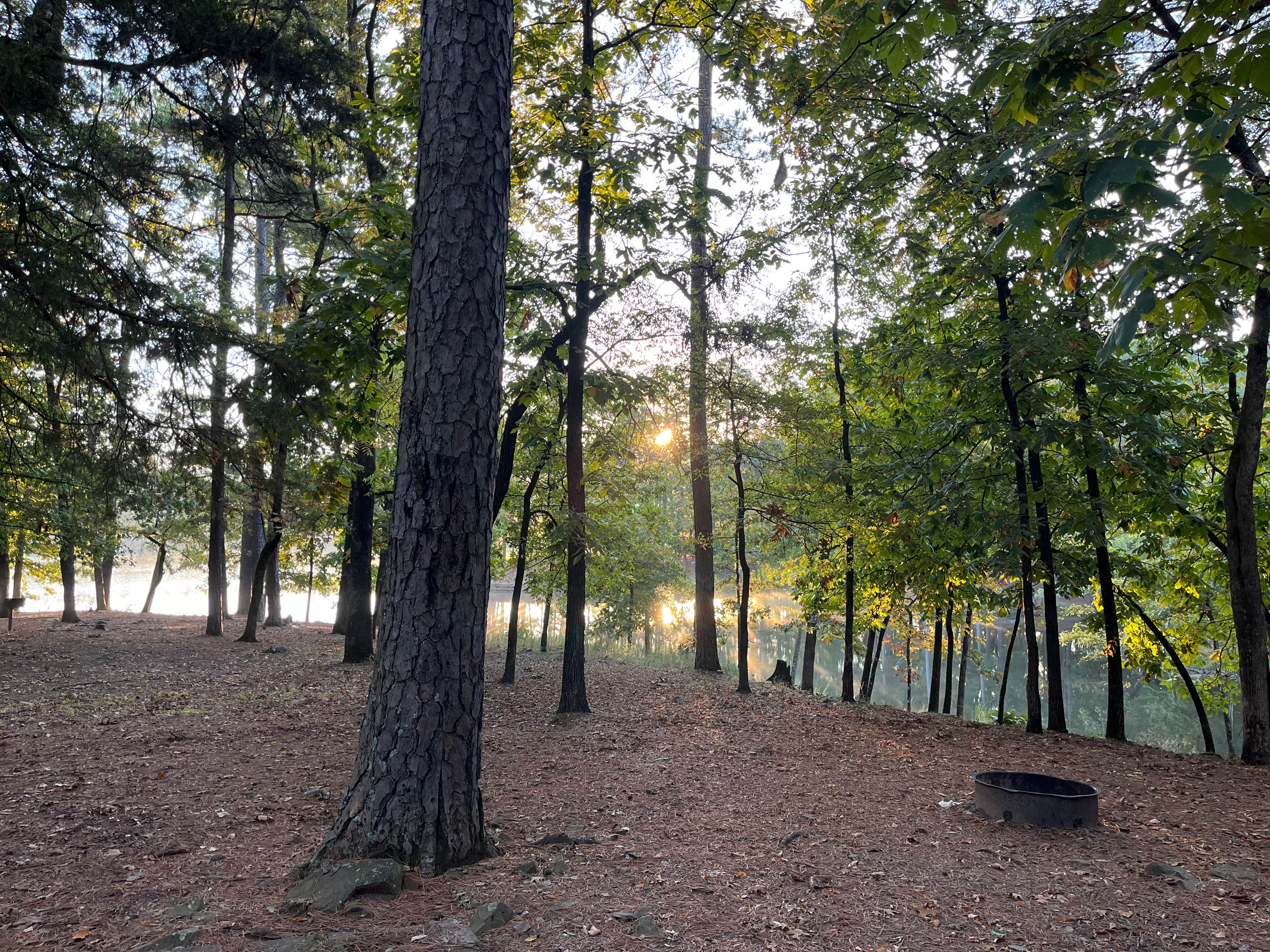 Camper-submitted photo at Cove Lake Complex near Fort Smith, AR