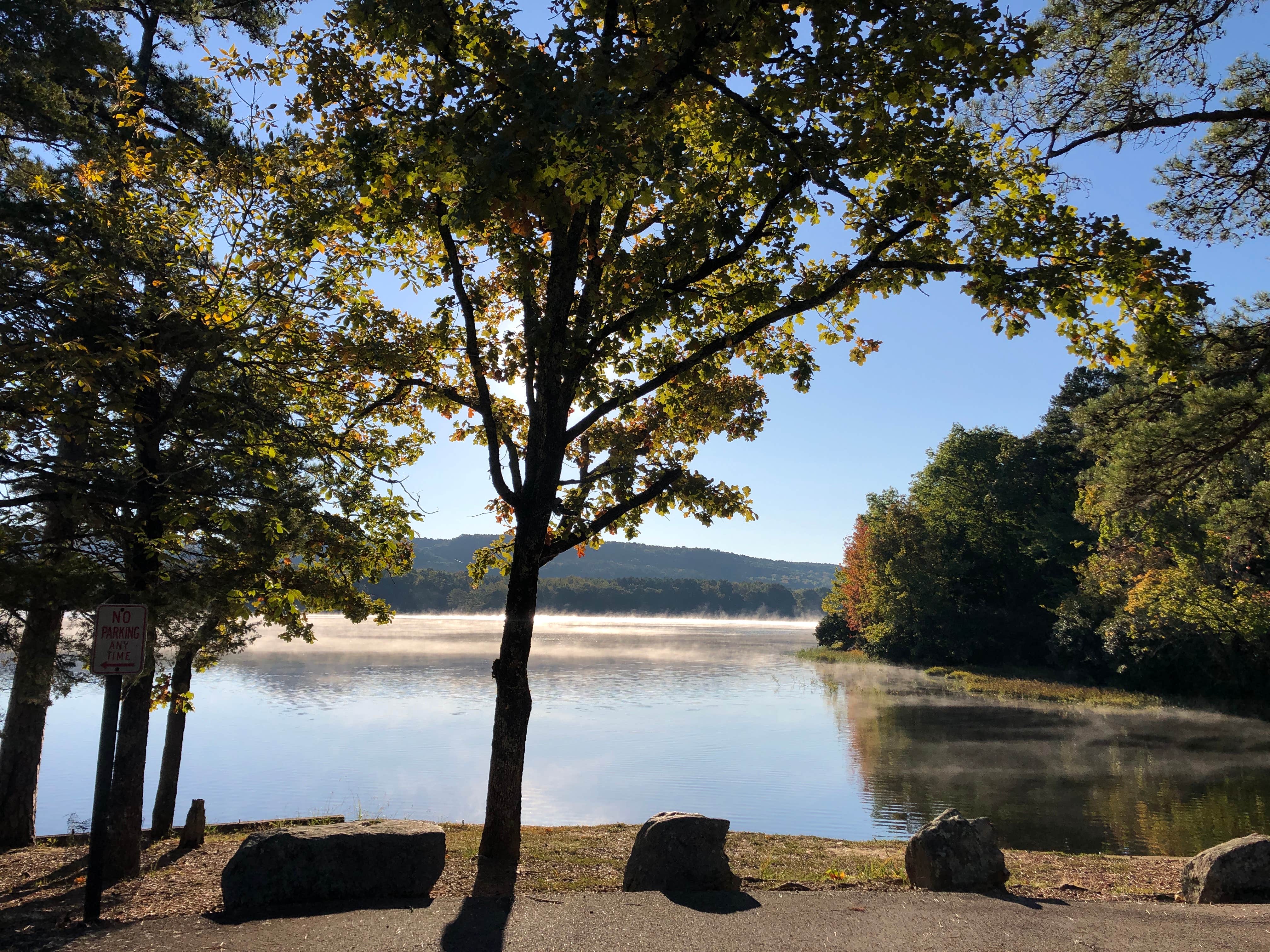 Camper-submitted photo at Cove Lake Complex near Lake Dardanelle
