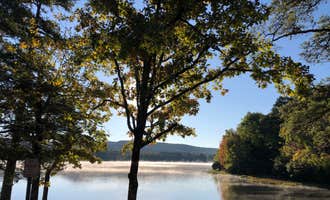Camping near Ozark National Forest Cove Lake Campground: Cove Lake Complex, Paris, Arkansas