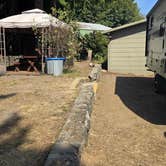 Review photo of Cove RV Park & Country Store by Matt B., August 15, 2025