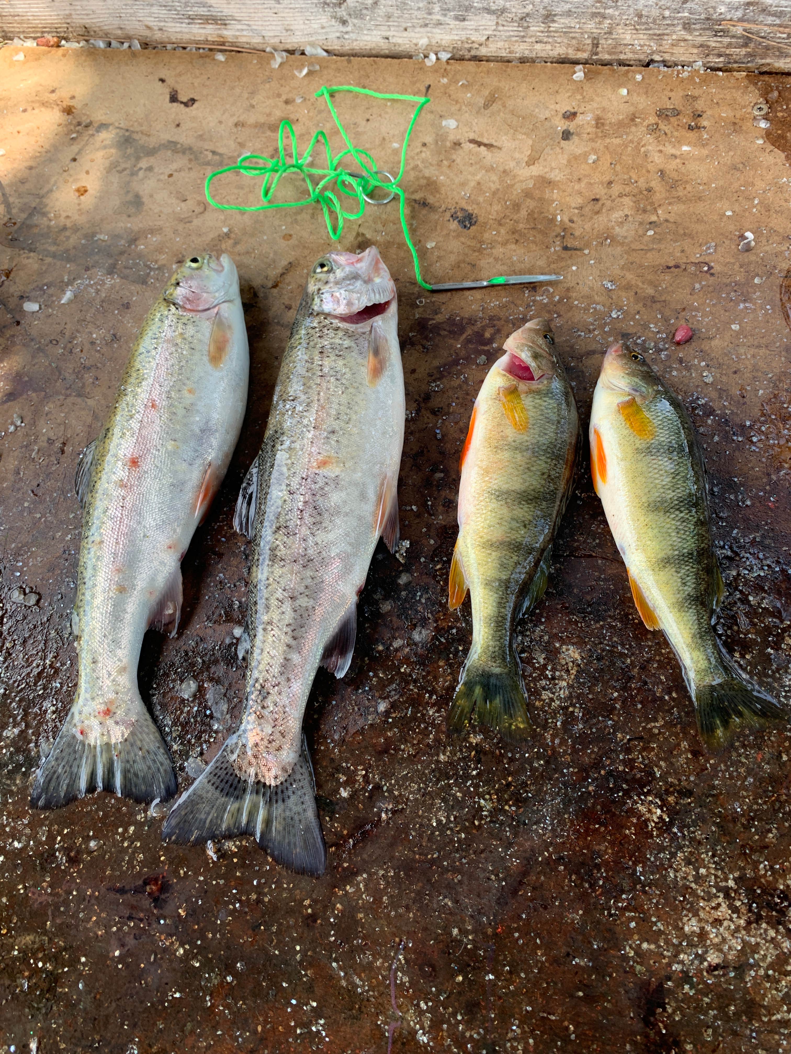 Camping near Hidden Lake: Cove Resort at Fish Lake, Leavenworth, Washington