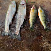 Review photo of Cove Resort at Fish Lake by Sergey and Galina V., December 28, 2025