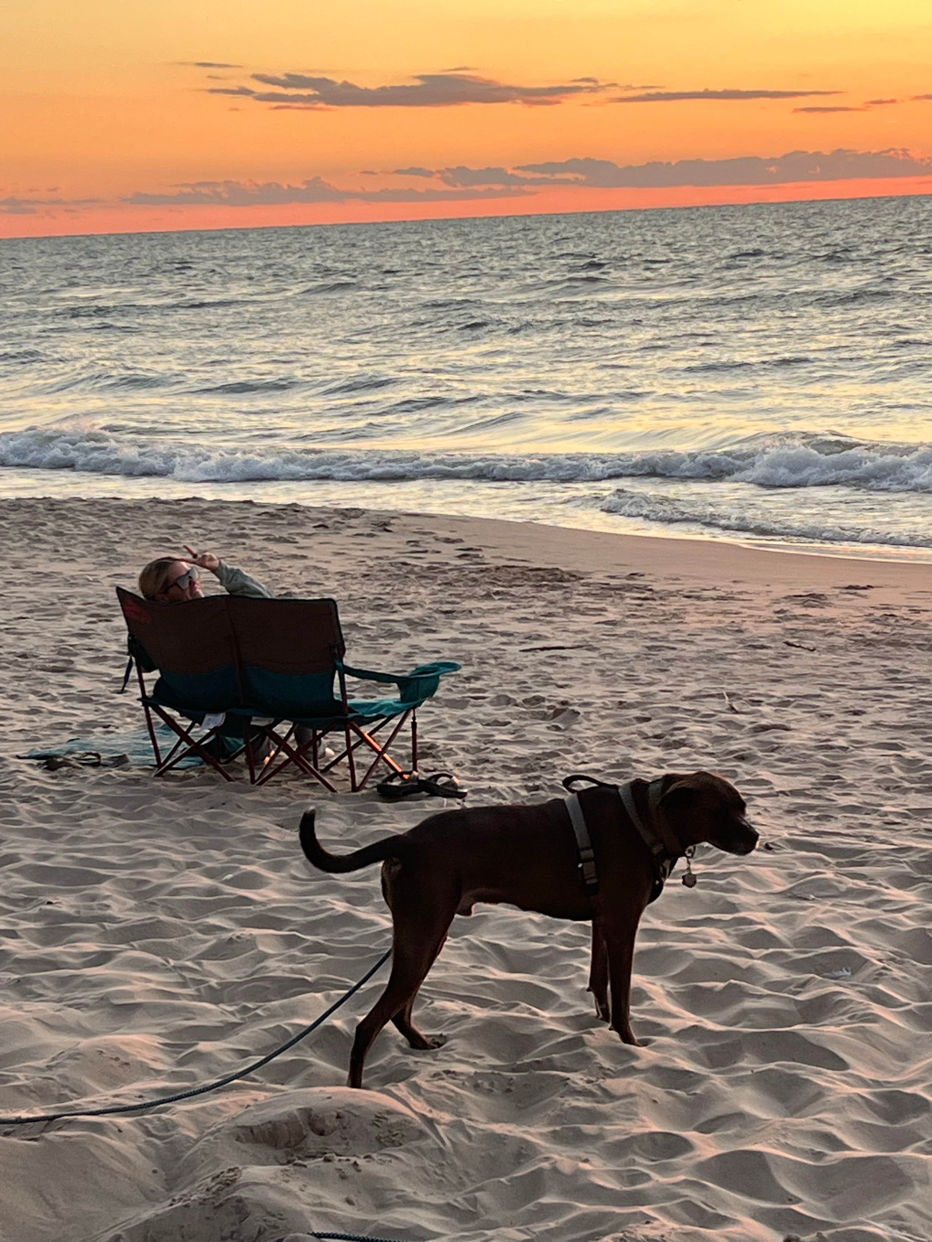 Jessica D.'s photo of camping with pets at Covert Park Beach & Campground near Saugatuck, MI
