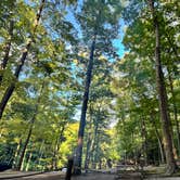 Review photo of Covert Park Beach & Campground by Jessica D., August 31, 2025