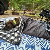 Review photo of Covert Park Beach & Campground by Jessica D., August 31, 2025