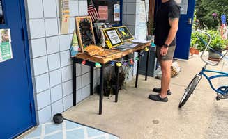 Jessica D.'s photo of camping with pets at Covert Park Beach & Campground near Stevensville, MI