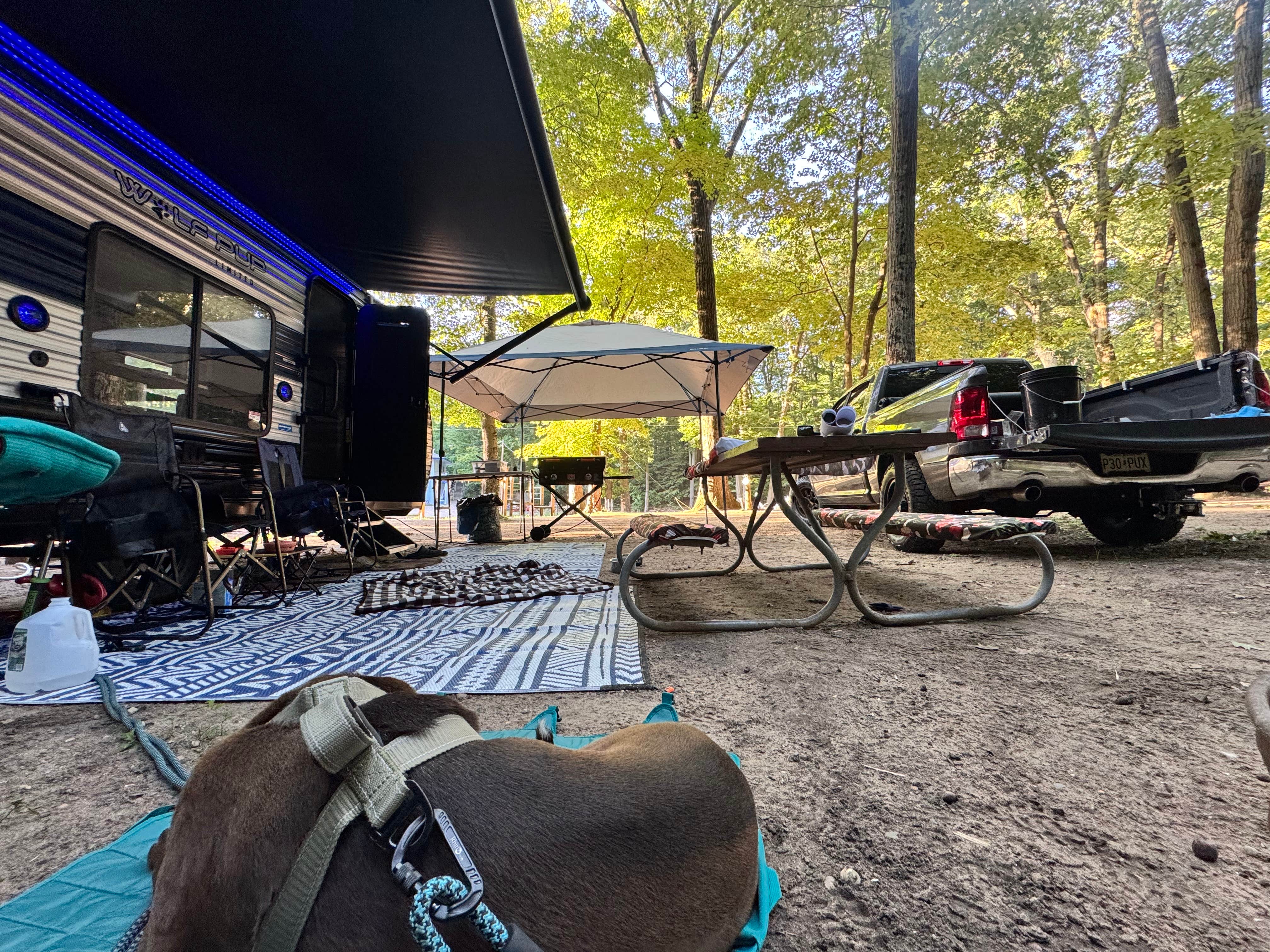 Jessica D.'s photo at Covert Park Beach & Campground near Covert, MI