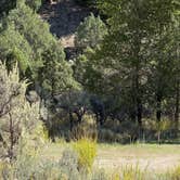 Review photo of Cow Creek Dispersed by Roger , September 9, 2026