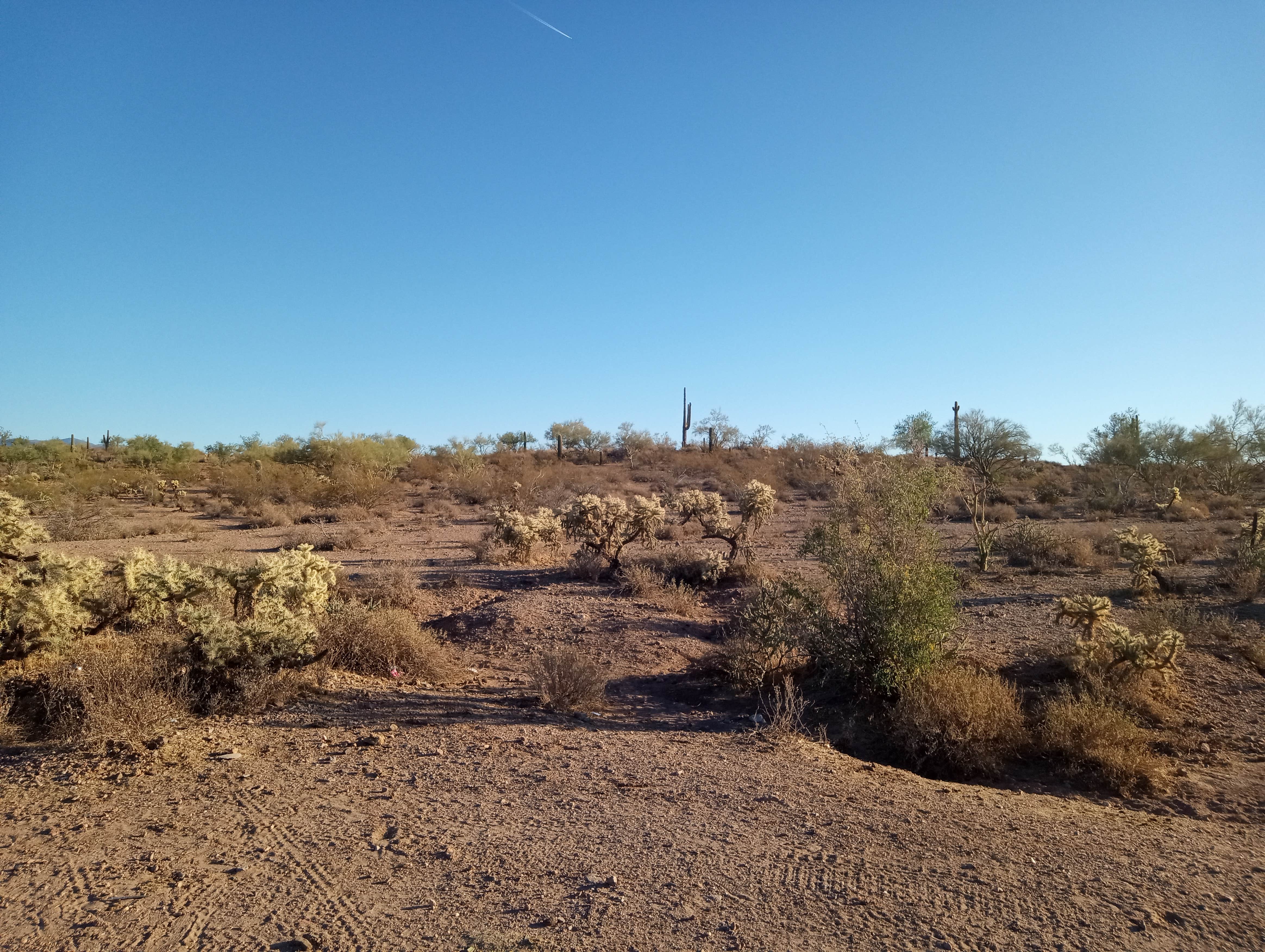 Camper-submitted photo at Cow Creek Road Dispersed near Sun City West, AZ