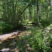 Review photo of Cowans Gap State Park Campground by JC T., August 4, 2026