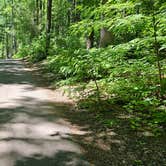 Review photo of Cowans Gap State Park Campground by Tom R., June 13, 2024