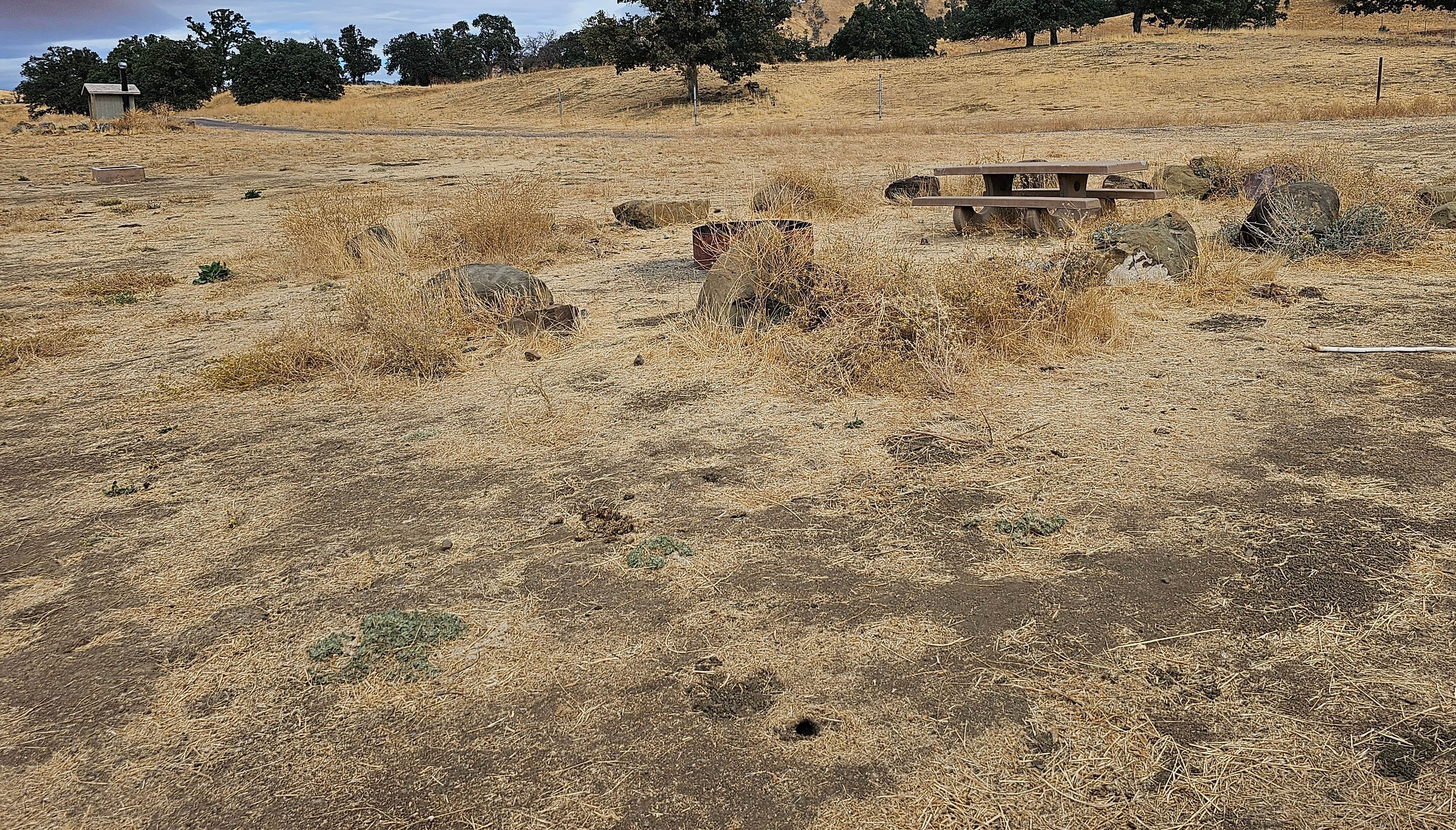 Camping near Raven's Landing: Cowboy Camp, Rumsey, California