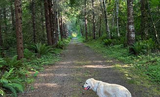 Angela S.'s photo of camping with pets at Cowlitz Falls Campground near Randle, WA