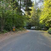 Review photo of Cowlitz Falls Campground by Kim G., July 14, 2025