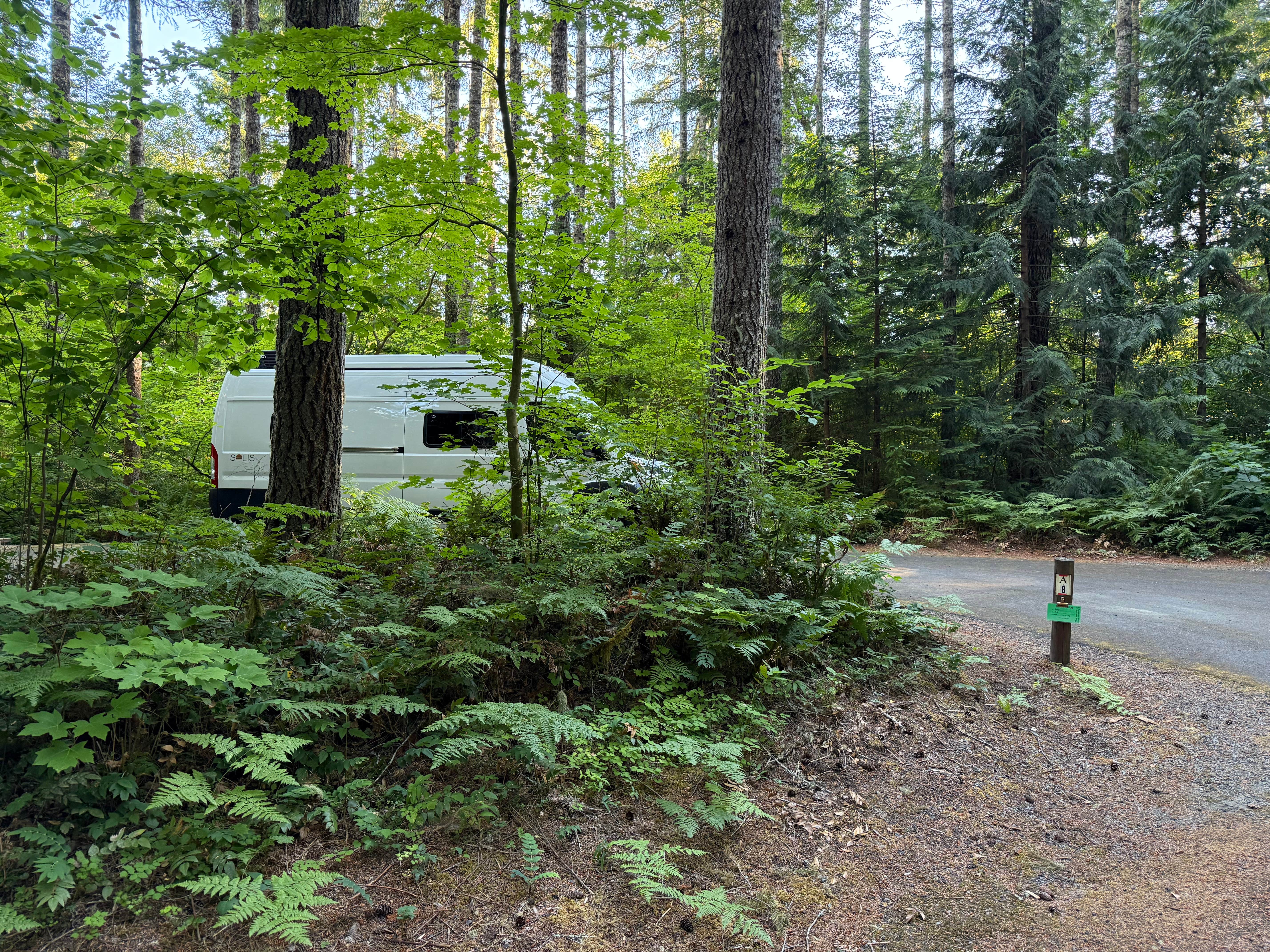 Camper submitted image from Cowlitz Falls Campground - 1