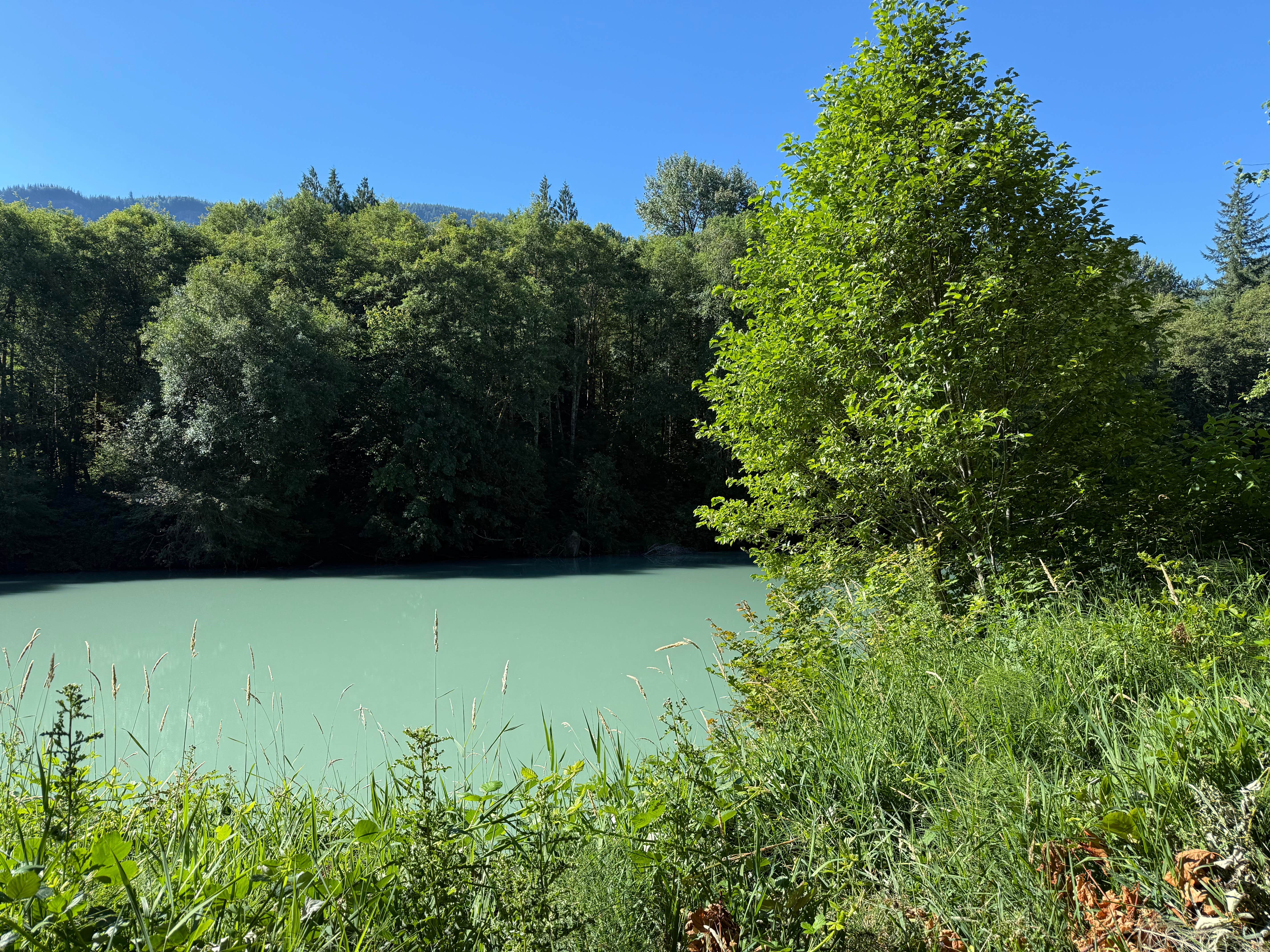 Camper-submitted photo at Cowlitz Falls Campground near Elbe, WA