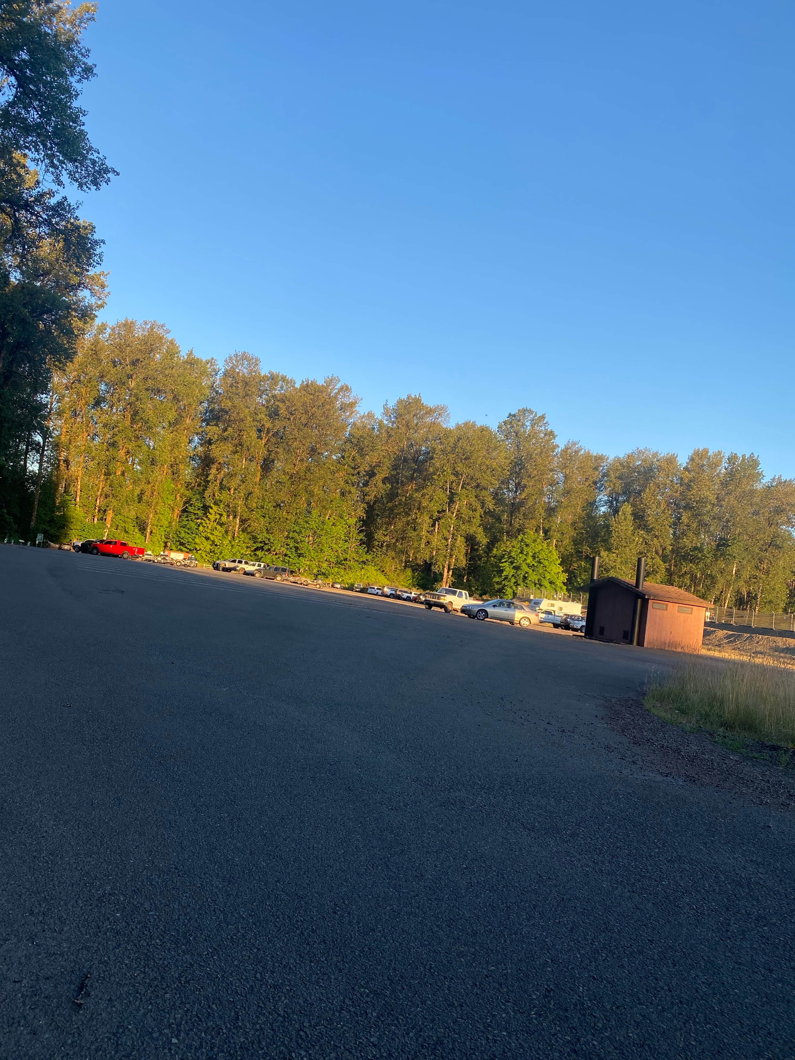 Camper submitted image from Cowlitz River Blue Creek Boat Ramp - 2
