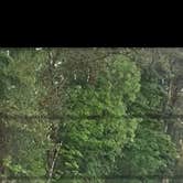 Review photo of Cowlitz River Blue Creek Boat Ramp by Liliána S., July 14, 2025