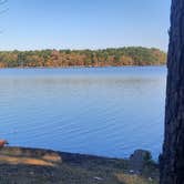 Review photo of Cox Creek Lake Campground by Forest K., November 10, 2024