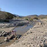 Review photo of Coyote Canyon by Hans V., January 31, 2026