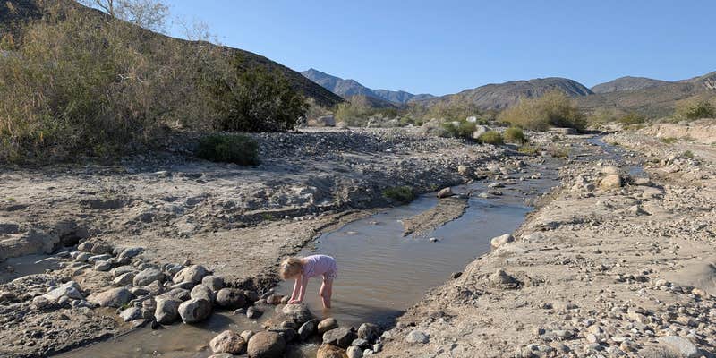 Camper submitted image from Coyote Canyon