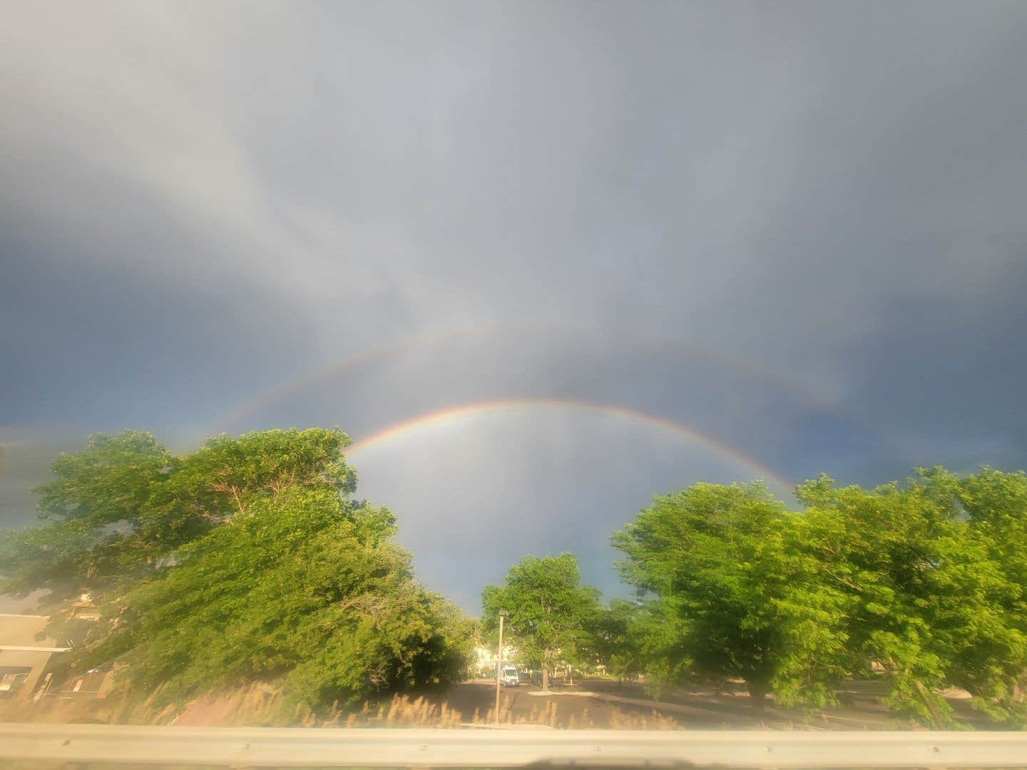 Alicia O.'s photo of a dispersed camping area at Coyote Hill Road near Berthoud, CO