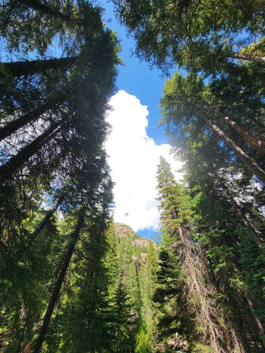 Alicia O.'s photo of a dispersed camping area at Coyote Hill Road near Longmont, CO