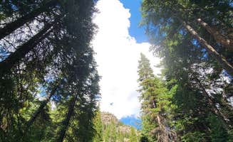 Alicia O.'s photo of a dispersed camping area at Coyote Hill Road near Lyons, CO