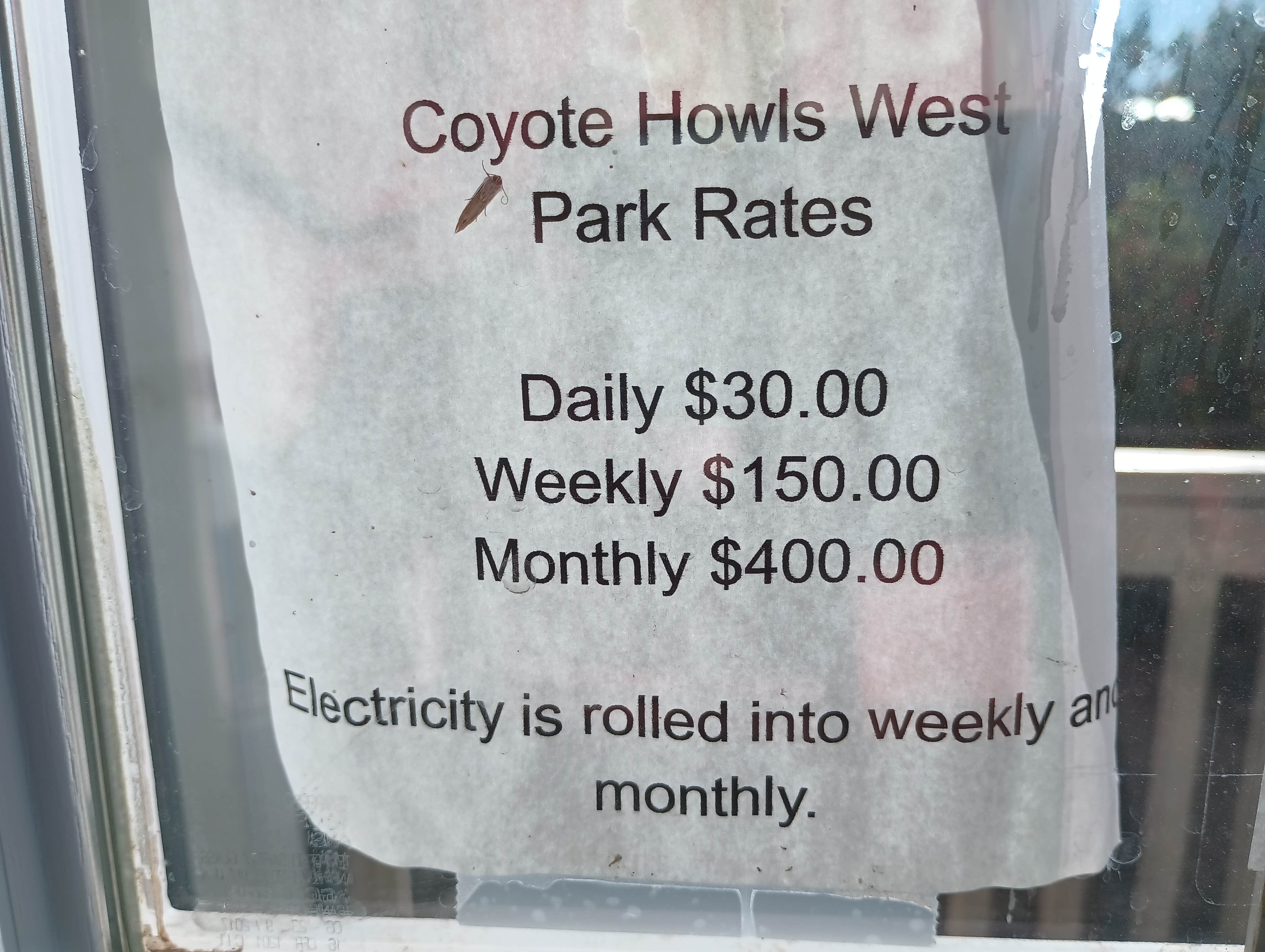 Camper-submitted photo at Coyote Howls West RV Park near Organ Pipe Cactus National Monument