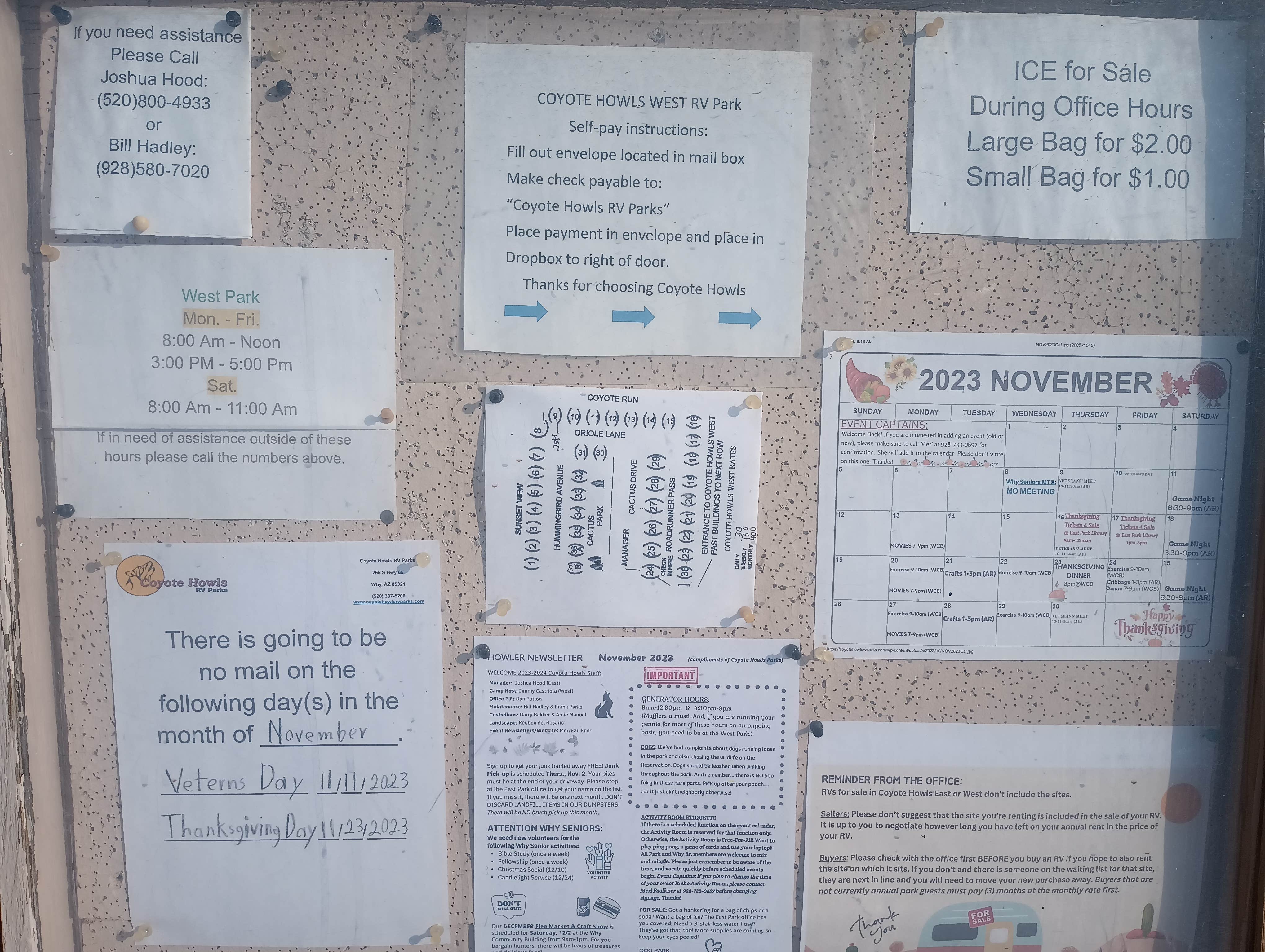 Camper-submitted photo at Coyote Howls West RV Park near Organ Pipe Cactus National Monument