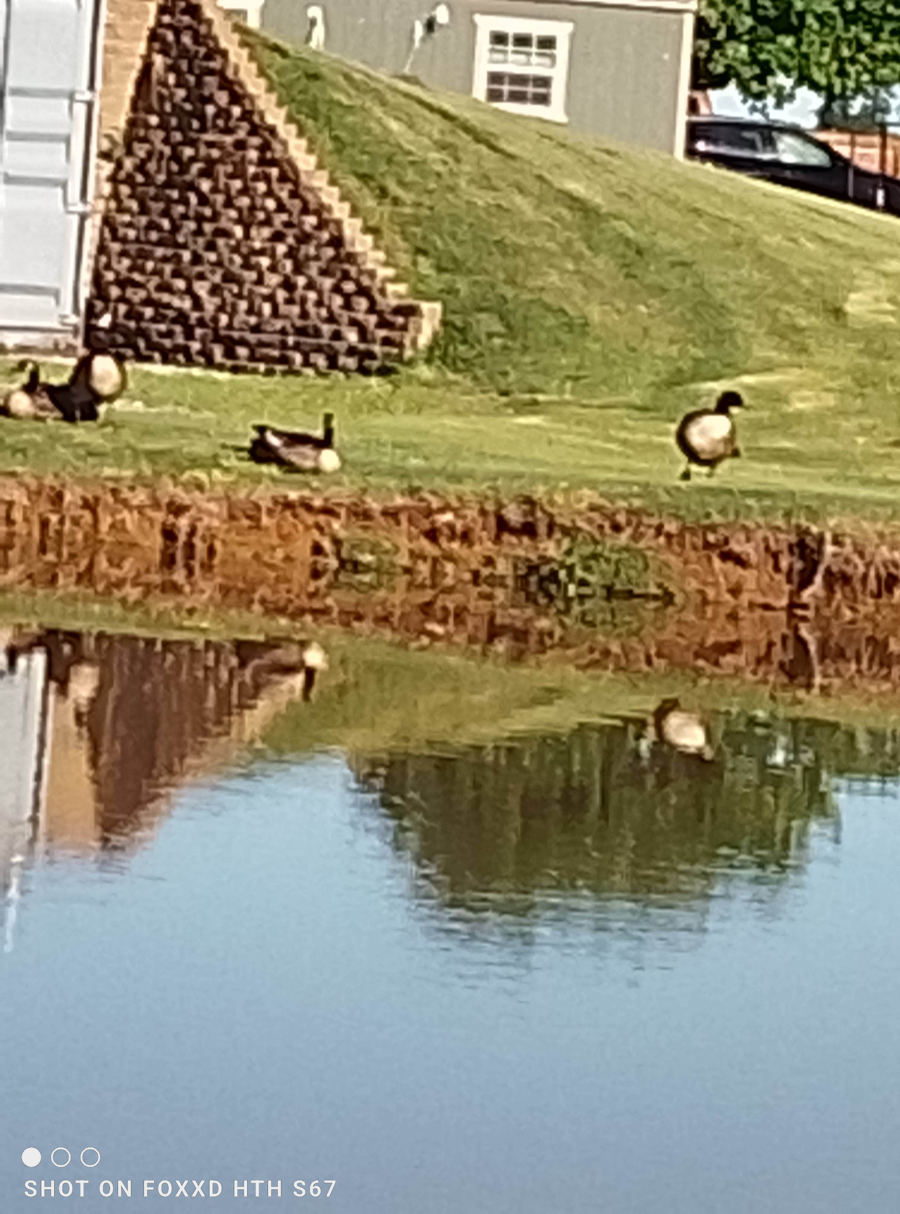 Camper-submitted photo at Cozy Corner RV Park near Schell City, MO