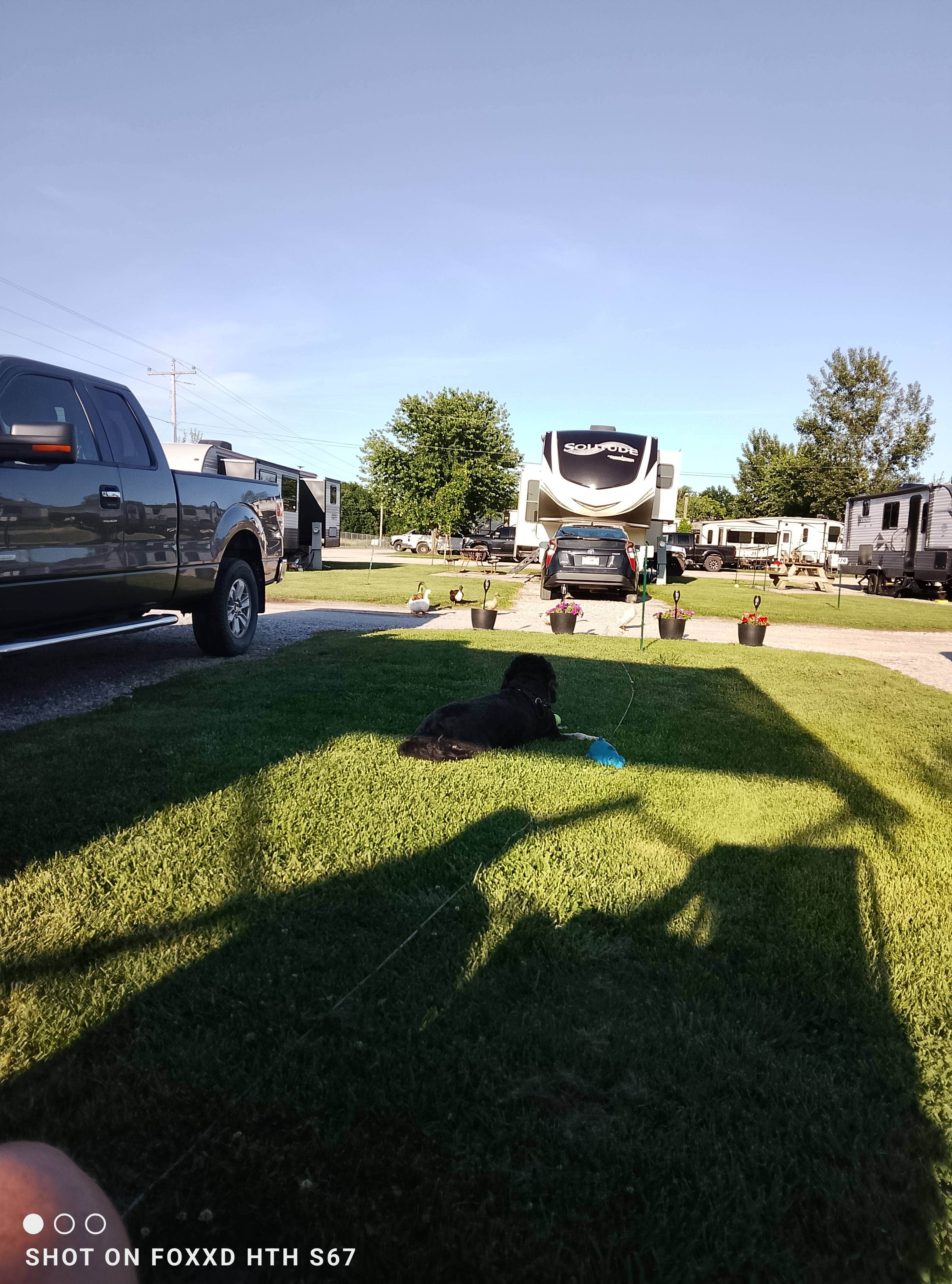 Camper-submitted photo at Cozy Corner RV Park near Schell City, MO