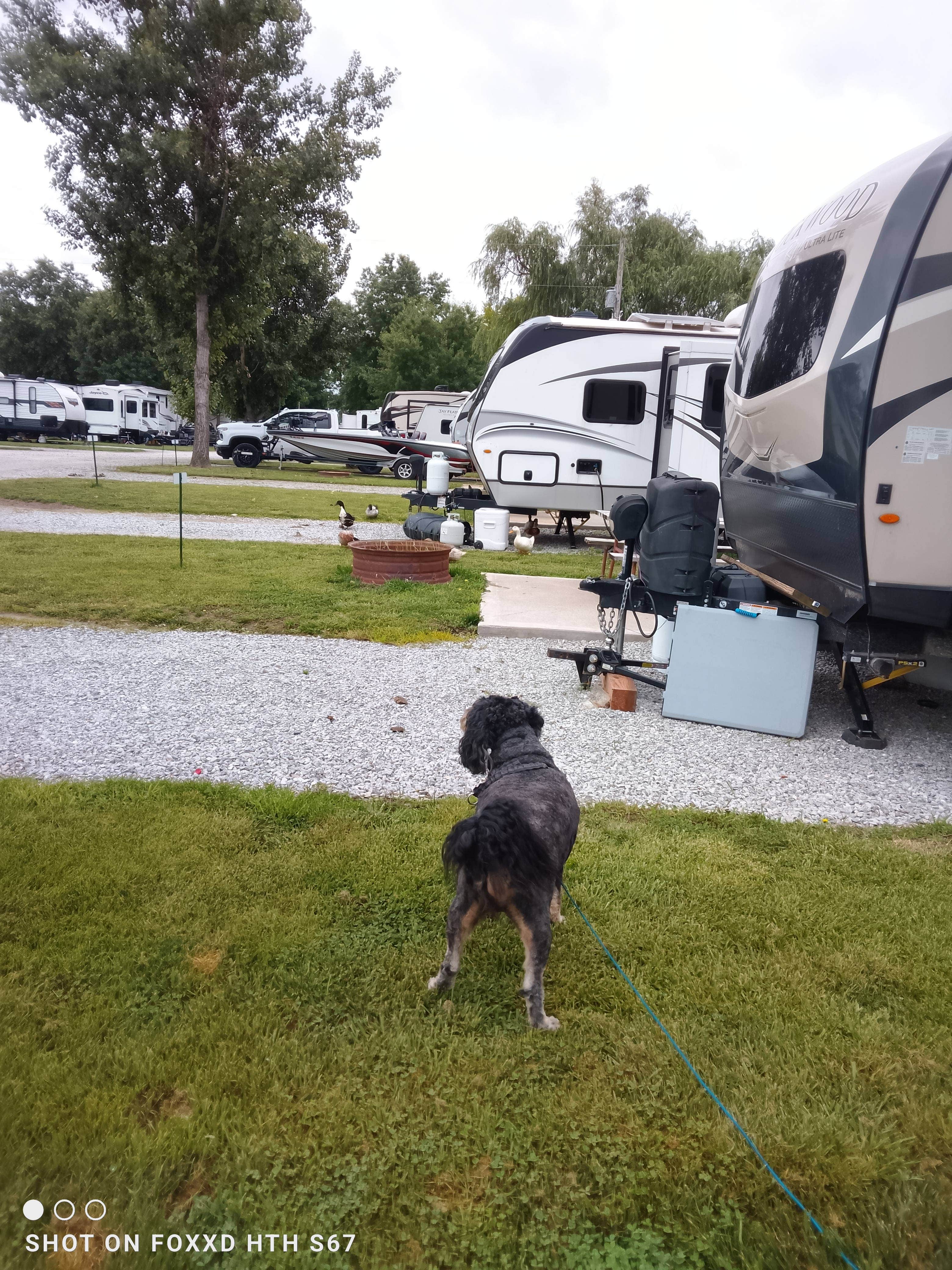 Camper-submitted photo at Cozy Corner RV Park near Schell City, MO