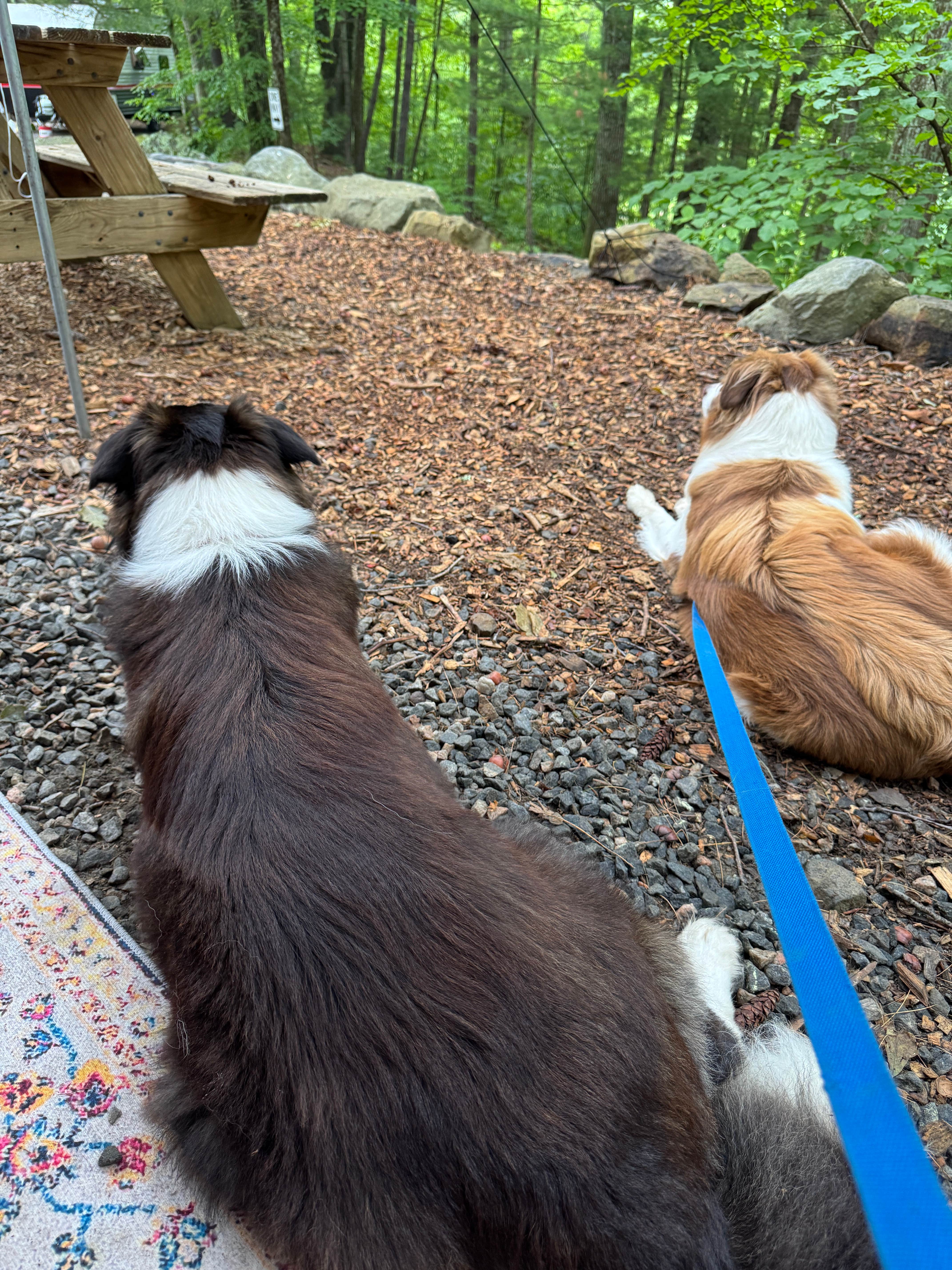 Camper-submitted photo at Cozy Hills Campground near Northfield Brook Lake