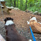 Review photo of Cozy Hills Campground by Kim J., June 8, 2025