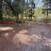 Review photo of CR 306 -Dispersed Site by Jamie W., May 25, 2026
