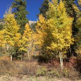 Review photo of CR 306 -Dispersed Site by Ronald B., October 6, 2025