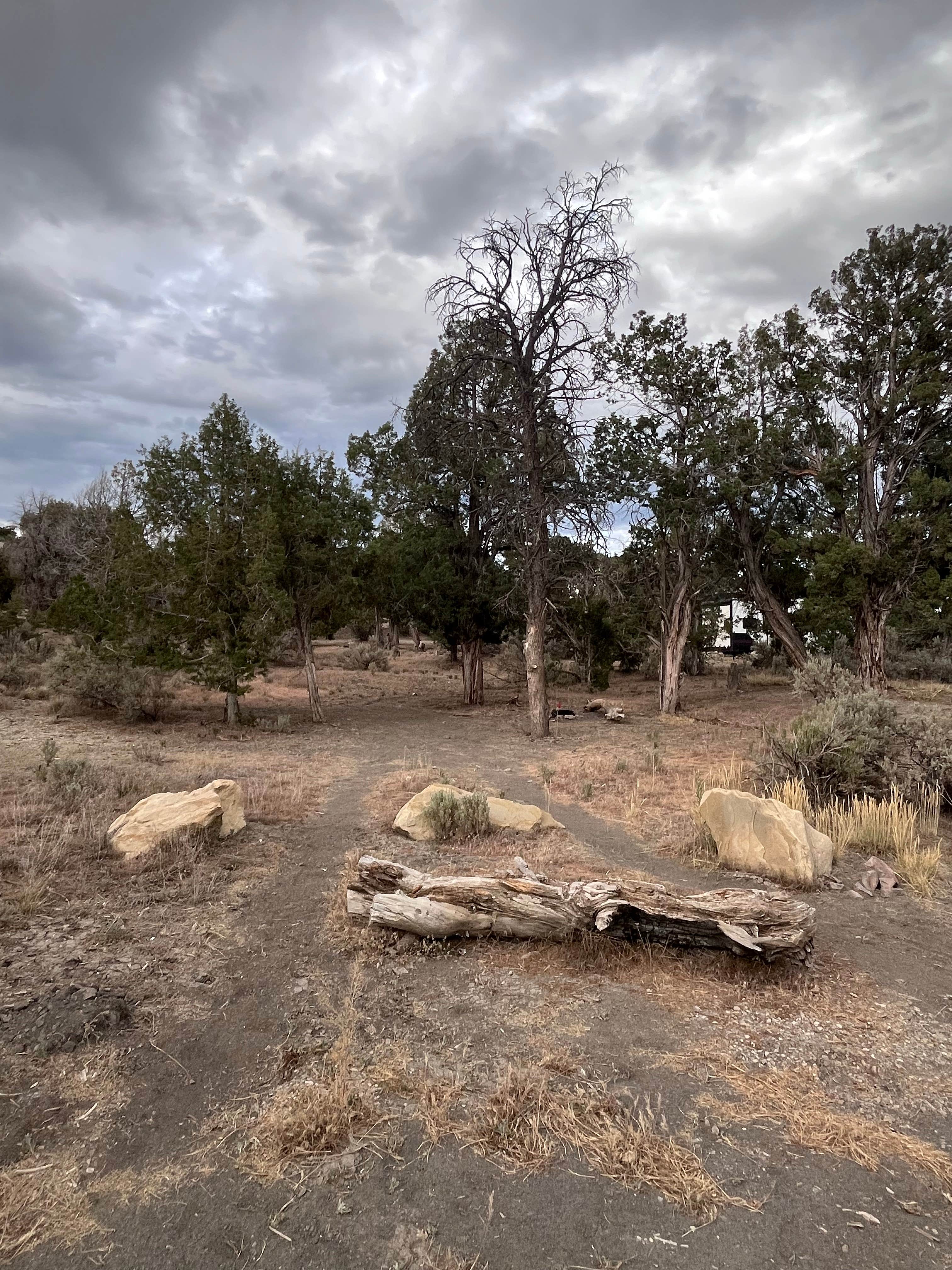 Camping near Bright Star Campground: CR 34 Dispersed Campground, Mesa Verde National Park, Colorado