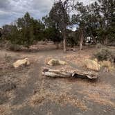 Review photo of CR 34 Dispersed Campground by Katerina G., June 25, 2026