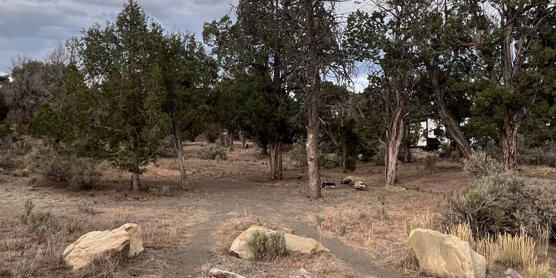 Camper submitted image from CR 34 Dispersed Campground